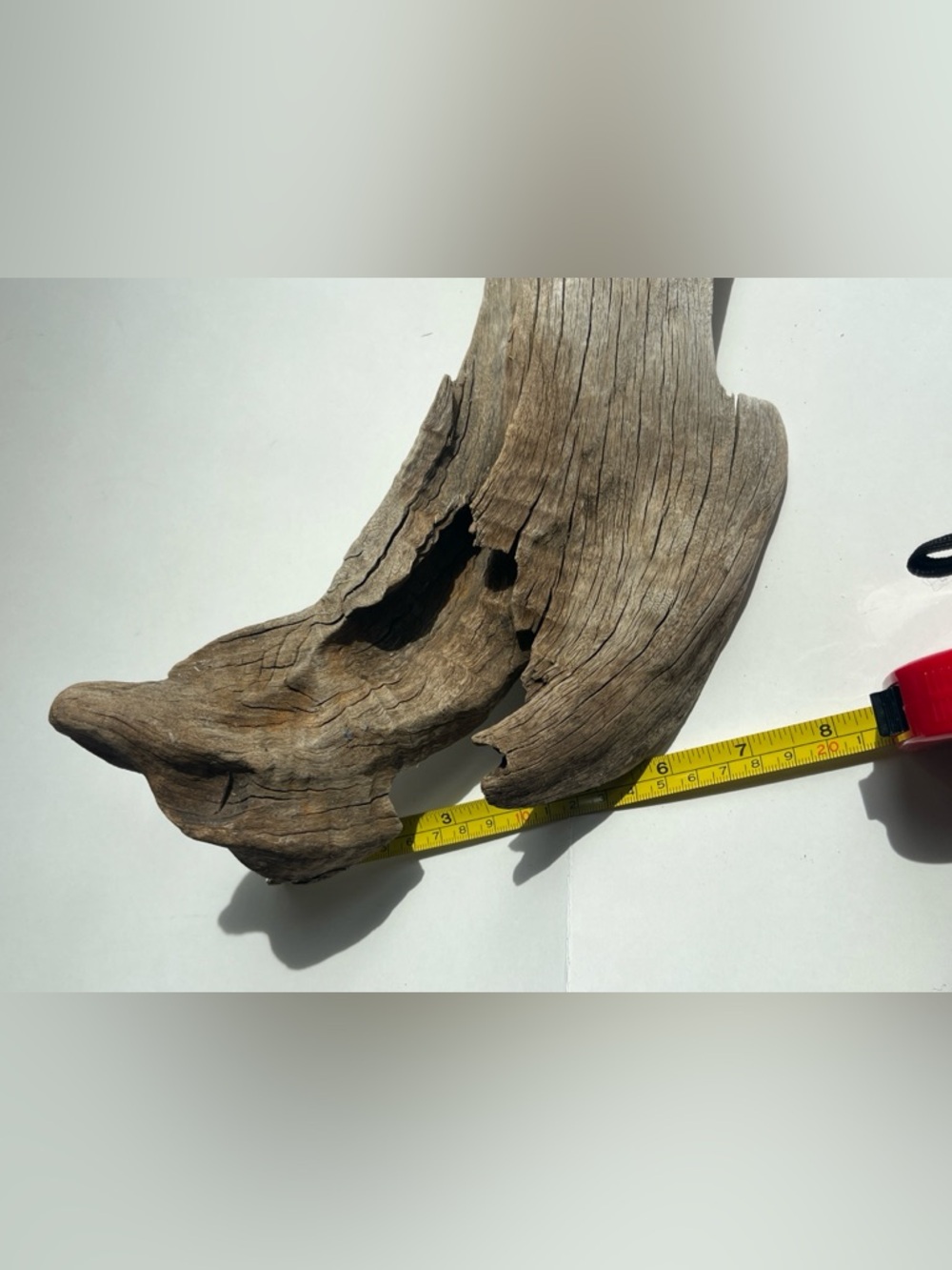 Natural Driftwood For Aquarium Succulent Floral Table Setting 14” Long, 8” Wide - Picture 2 of 5